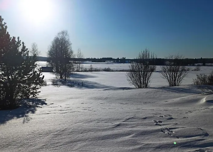 Laukkumaeki Farm