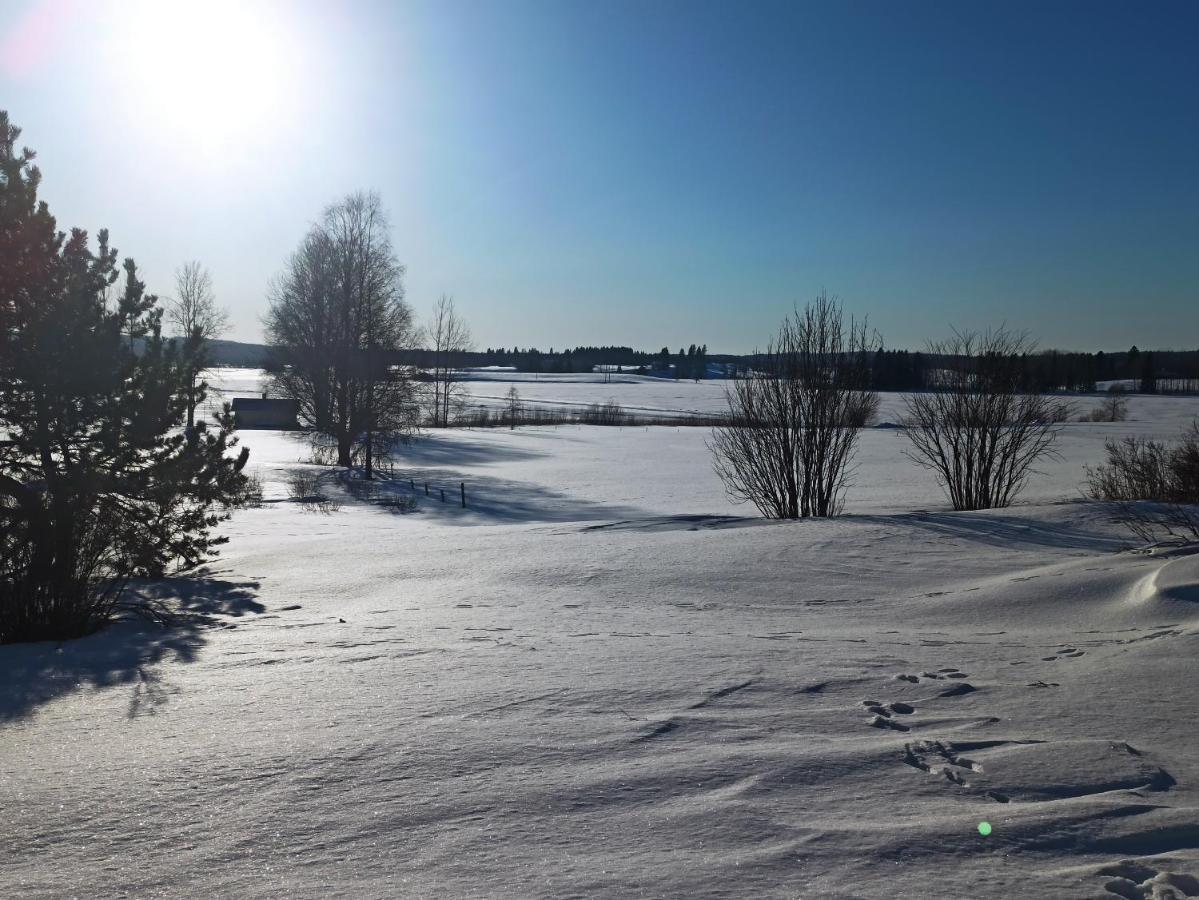 Laukkumaeki Farm * Iisalmi